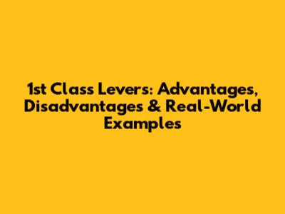 1st Class Levers: Advantages, Disadvantages & Real-World Examples
