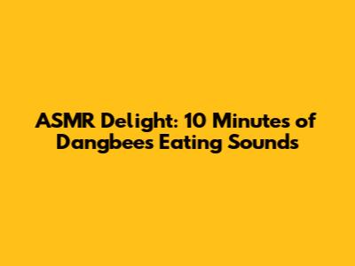 ASMR Delight: 10 Minutes of Dangbee's Eating Sounds