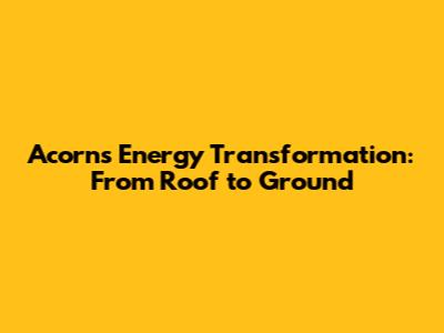 Acorn's Energy Transformation: From Roof to Ground
