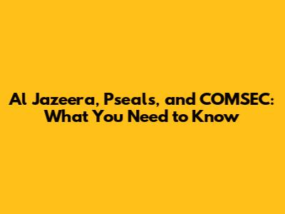 Al Jazeera, Pseals, and COMSEC: What You Need to Know