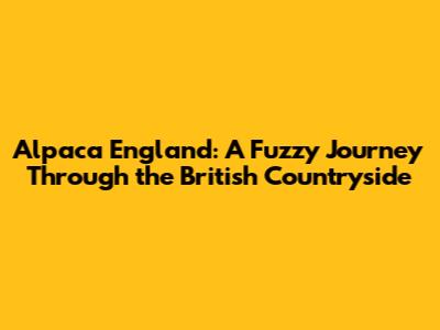 Alpaca England: A Fuzzy Journey Through the British Countryside