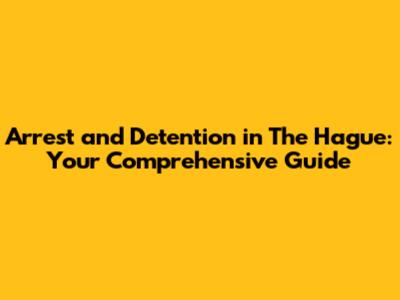 Arrest and Detention in The Hague: Your Comprehensive Guide