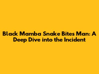 Black Mamba Snake Bites Man: A Deep Dive into the Incident