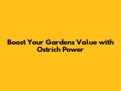 Boost Your Garden's Value with Ostrich Power