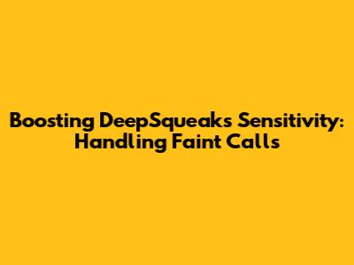 Boosting DeepSqueak's Sensitivity: Handling Faint Calls