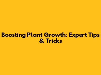 Boosting Plant Growth: Expert Tips & Tricks
