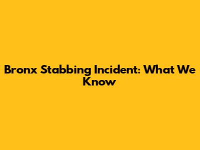 Bronx Stabbing Incident: What We Know