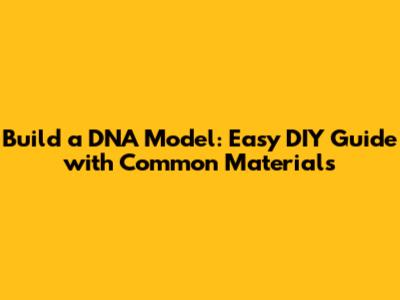 Build a DNA Model: Easy DIY Guide with Common Materials