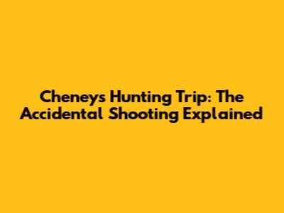 Cheney's Hunting Trip: The Accidental Shooting Explained