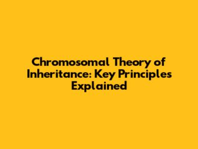 Chromosomal Theory of Inheritance: Key Principles Explained