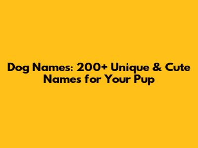 Dog Names: 200+ Unique & Cute Names for Your Pup