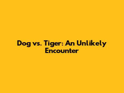 Dog vs. Tiger: An Unlikely Encounter