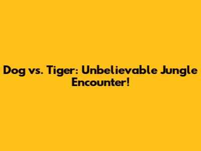 Dog vs. Tiger: Unbelievable Jungle Encounter!