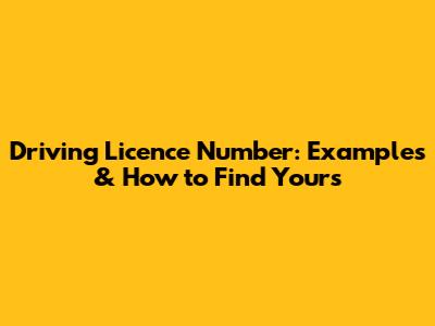 Driving Licence Number: Examples & How to Find Yours