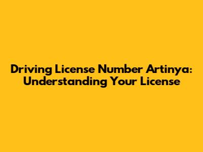 Driving License Number Artinya: Understanding Your License