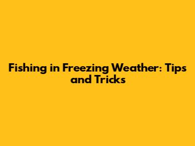Fishing in Freezing Weather: Tips and Tricks