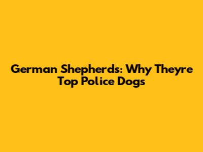 German Shepherds: Why They're Top Police Dogs