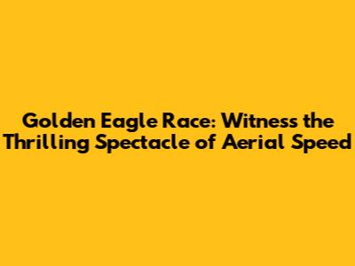 Golden Eagle Race: Witness the Thrilling Spectacle of Aerial Speed