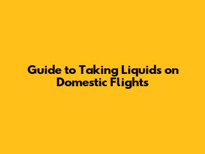 Guide to Taking Liquids on Domestic Flights