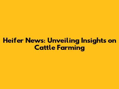 Heifer News: Unveiling Insights on Cattle Farming