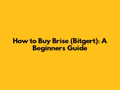 How to Buy Brise (Bitgert): A Beginner's Guide