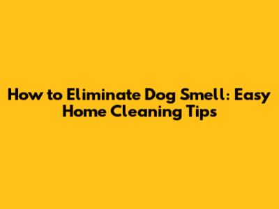 How to Eliminate Dog Smell: Easy Home Cleaning Tips