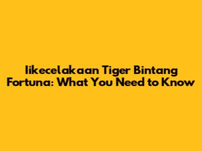Iikecelakaan Tiger Bintang Fortuna: What You Need to Know