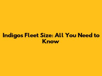 Indigo's Fleet Size: All You Need to Know