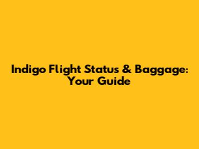Indigo Flight Status & Baggage: Your Guide