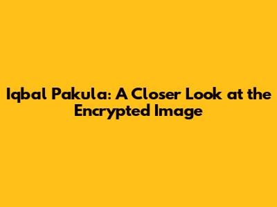 Iqbal Pakula: A Closer Look at the Encrypted Image