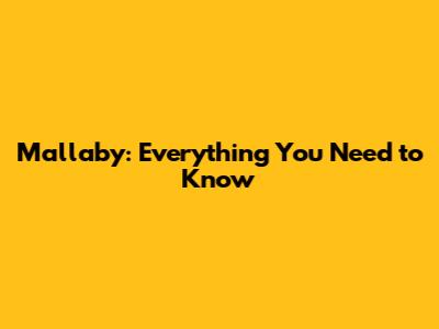 Mallaby: Everything You Need to Know