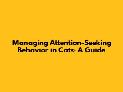 Managing Attention-Seeking Behavior in Cats: A Guide