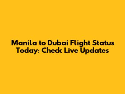 Manila to Dubai Flight Status Today: Check Live Updates