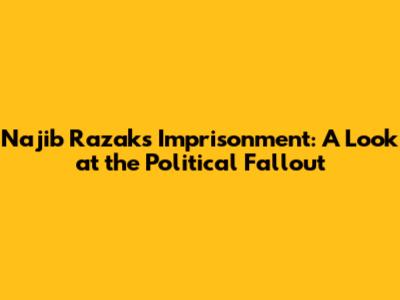 Najib Razak's Imprisonment: A Look at the Political Fallout