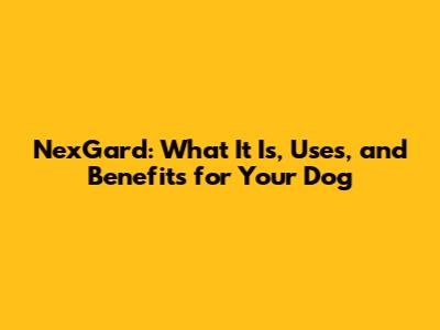 NexGard: What It Is, Uses, and Benefits for Your Dog
