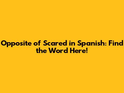 Opposite of Scared in Spanish: Find the Word Here!