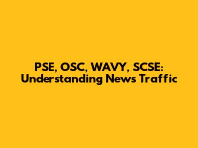PSE, OSC, WAVY, SCSE: Understanding News Traffic