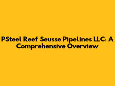 PSteel Reef Seusse Pipelines LLC: A Comprehensive Overview