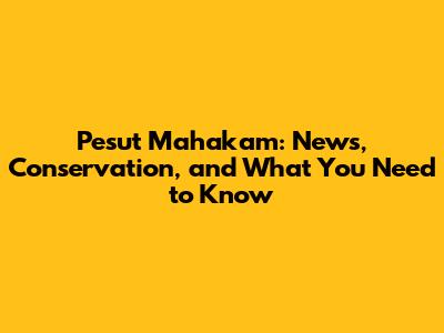 Pesut Mahakam: News, Conservation, and What You Need to Know
