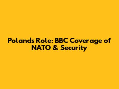 Poland's Role: BBC Coverage of NATO & Security