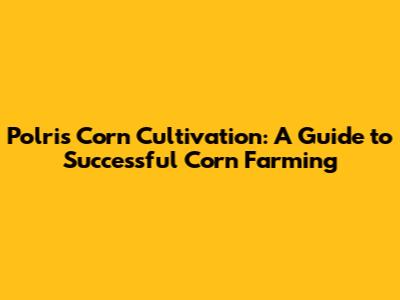 Polri's Corn Cultivation: A Guide to Successful Corn Farming