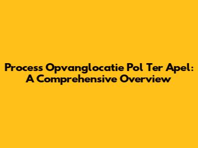Process Opvanglocatie Pol Ter Apel: A Comprehensive Overview