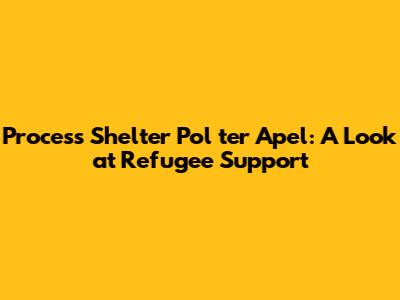 Process Shelter Pol ter Apel: A Look at Refugee Support