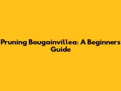Pruning Bougainvillea: A Beginner's Guide
