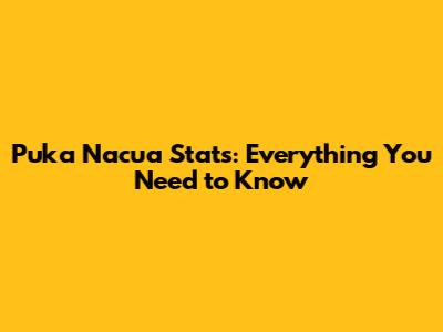 Puka Nacua Stats: Everything You Need to Know