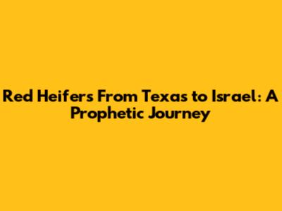 Red Heifers From Texas to Israel: A Prophetic Journey