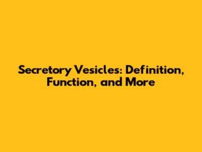 Secretory Vesicles: Definition, Function, and More