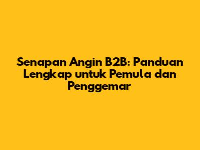 Senapan Angin B2B: Panduan Lengkap untuk Pemula dan Penggemar
