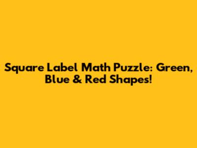 Square Label Math Puzzle: Green, Blue & Red Shapes!