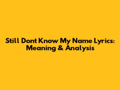 Still Don't Know My Name Lyrics: Meaning & Analysis